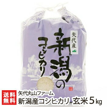 【令和5年度米】新潟 妙高矢代産コシヒカリ 玄米5kg 矢代丸山ファーム【新潟県産/こしひかり】【お土産/手土産/プレゼント/ギフトに！贈り物】【送料無料】