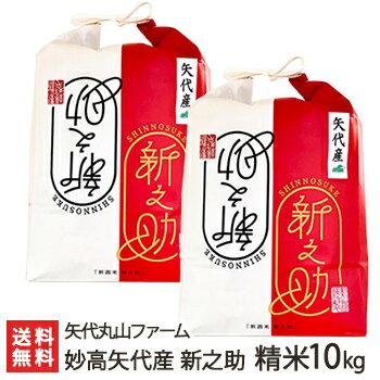 【令和5年度米】新潟 妙高矢代産 新之助 精米10kg（5kg×2） 矢代丸山ファーム【白米/うるち米/新潟県産/しんのすけ】【お土産/手土産/プレゼント/ギフトに！贈り物】【送料無料】