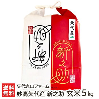 【令和5年度米】新潟 妙高矢代産 新之助 玄米5kg 矢代丸山ファーム【うるち米/新潟県産/しんのすけ】【お土産/手土産/プレゼント/ギフトに！贈り物】【送料無料】