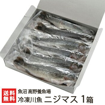 新潟産 冷凍川魚 ニジマス 1箱（12尾入り）魚沼 高野養魚場【虹鱒/ます/養殖/下処理済】【お土産 ...