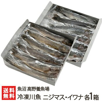 新潟産 冷凍川魚 ニジマス・イワナ 各1箱（ニジマス12尾・イワナ11尾）魚沼 高野養魚場【虹鱒/岩魚/にじます/いわな/養殖/下処理済】【お土産/手土産/プレゼント/ギフトに！贈り物】【送料無料】