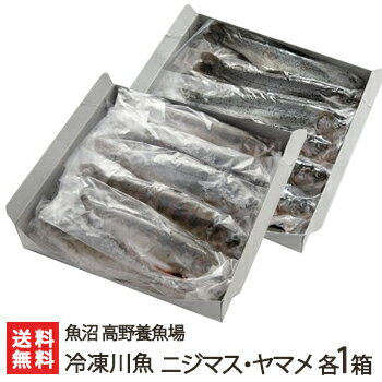 新潟産 冷凍川魚 ニジマス・ヤマメ 各1箱（ニジマス12尾・ヤマメ11尾）魚沼 高野養魚場【虹鱒/山女魚/にじます/やまめ/養殖/下処理済】【お土産/手土産/プレゼント/ギフトに！贈り物】【送料無料】