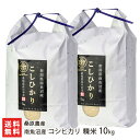 全国お取り寄せグルメ食品ランキング[あきたこまち(91～120位)]第107位