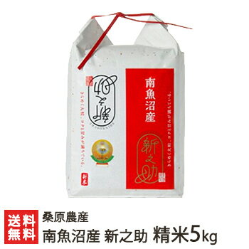 【令和5年度米】南魚沼産 桑原農産の新之助 精米 5kg 桑原農産【白米/うるち米/し...