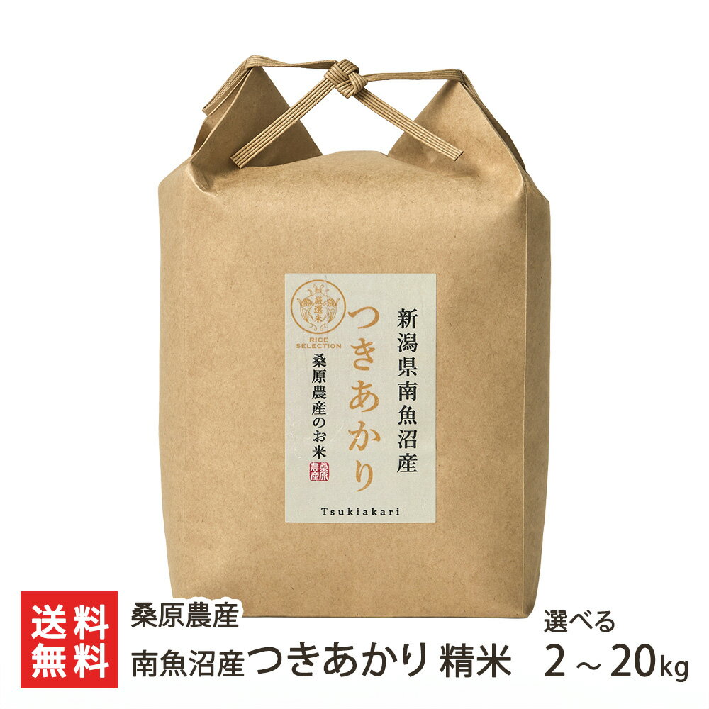【令和7年度新米】南