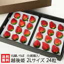 新潟ブランド苺 越後姫 2Lサイズ 24粒(化粧箱入)北越いちば【いちご/イチゴ/採れたて産地直送/新鮮摘みたて/えちごひめ】【お土産/手土産/ギフトに!贈り物...