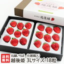 新潟ブランド苺 越後姫 3Lサイズ 18粒(化粧箱入)北越いちば【いちご/イチゴ/採れたて産地直送/新鮮摘みたて/えちごひめ】【お土産/手土産/ギフトに!贈り物...
