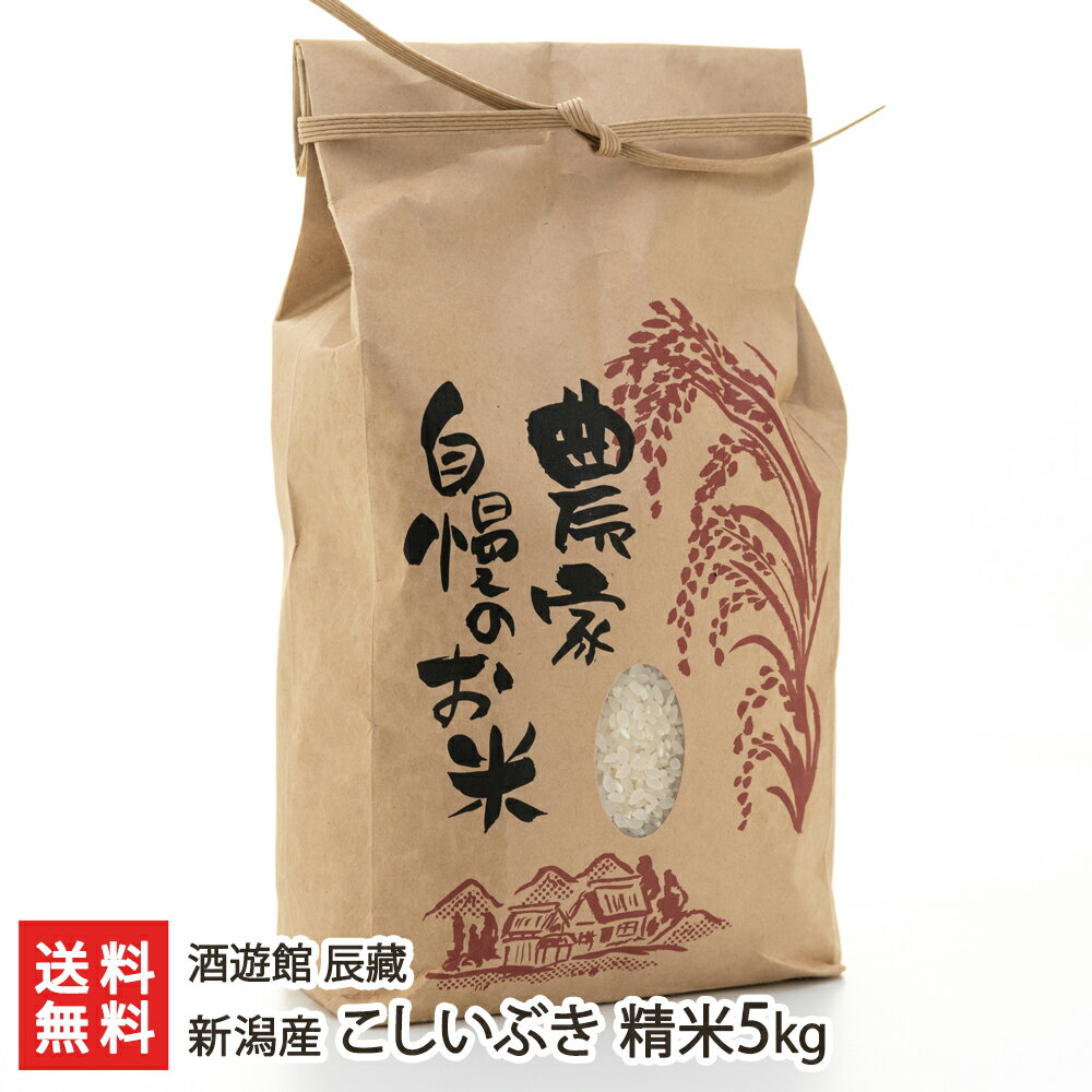 【30年度米】新潟産 こしいぶき 精米5kg 酒遊館 辰藏【白米/うるち米/新潟県産...