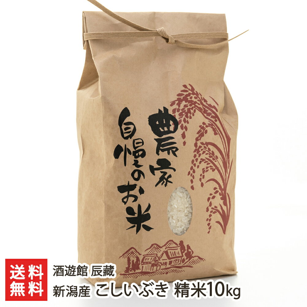 【30年度米】新潟産 こしいぶき 精米10kg 酒遊館 辰藏【白米/うるち米/新潟県...