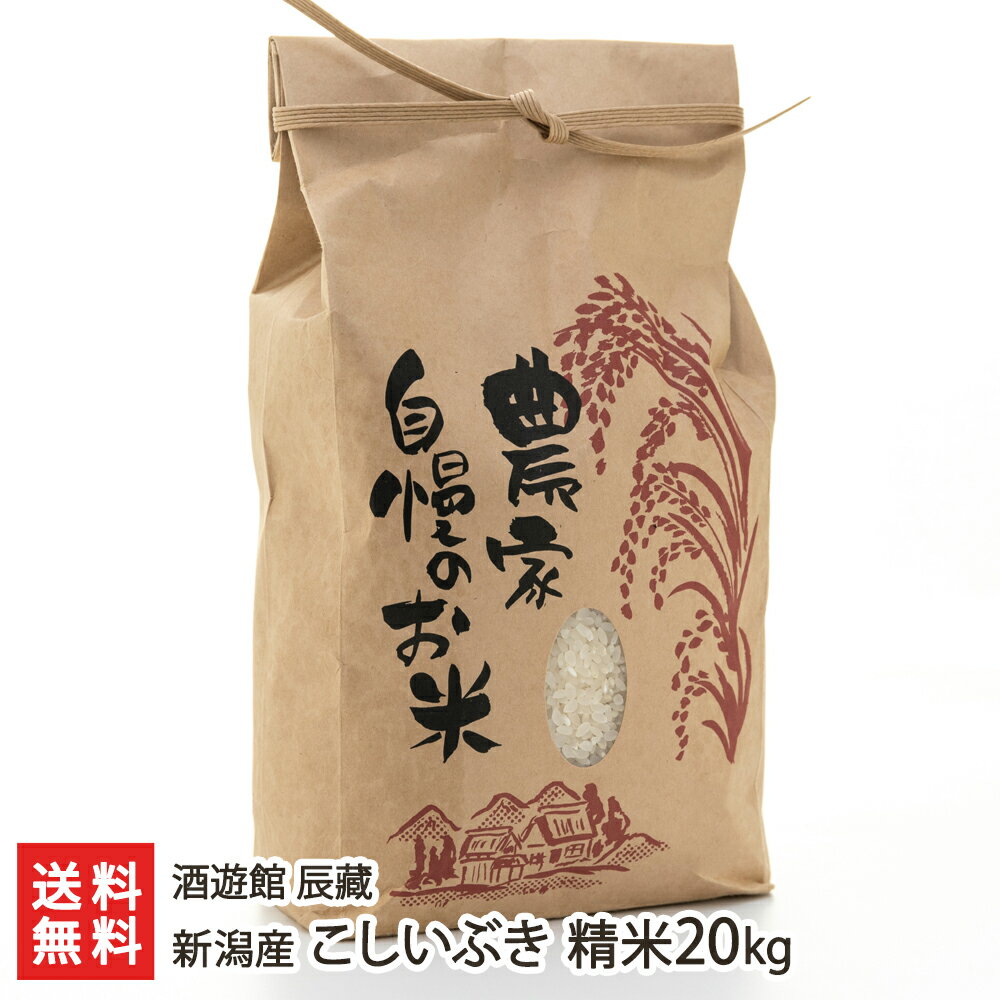 【令和3年度米】新潟産 こしいぶき 精米20kg（10kg×2）酒遊館 辰藏【白米/うるち米/新潟県産/コシイブキ】【お土産/手土産/プレゼント/父の日・お中元ギフトに！贈り物】【送料無料】