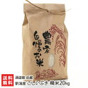 【令和元年度新米】新潟産 こしいぶき 精米20kg（10kg×2）酒遊館 辰藏【白米/うるち米/新潟県産/コシイブキ】【残暑見舞い・贈り物・内祝いに！のし（熨斗）無料】【送料無料】