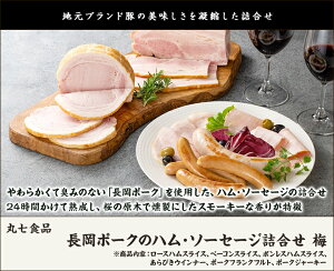長岡ポークのハム・ソーセージ詰合せ 梅(ロースハムスライス・ベーコンスライス・ボンレスハムスライス・あらびきウインナー・ポークフランクフルト・ポークジャーキー) 丸七食品 生産者直送 送料無料【新潟直送計画 ニューシャム スモーキー 新潟産 お歳暮 お中元】