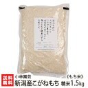 【令和3年度米】新潟産こがねもち（もち米）精米1.5kg【新潟県産 新潟米 コガネモチ モチ米 餅米 精白米 白米】【送料無料】