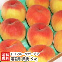 新潟産 黄桃 贈答用 3kg(8〜11玉)石田フルーツガーデン【もも/モモ/フルーツ/果物】【送料無料】