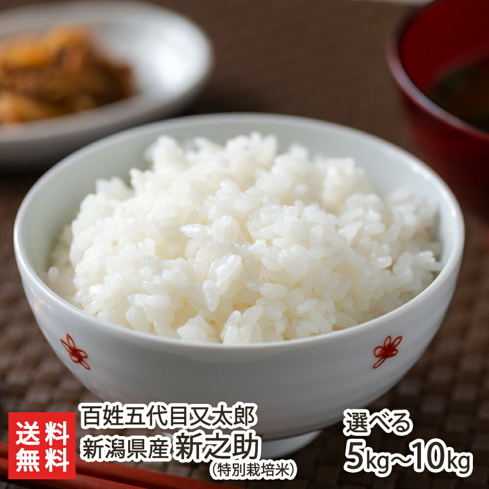 【令和5年度米】特別栽培米（減農薬・減化学肥料）新潟県産 新