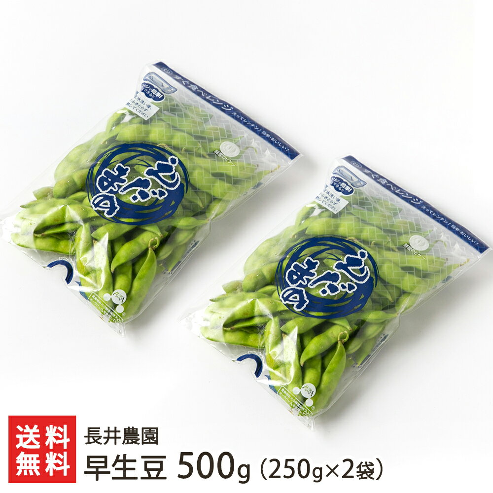 新潟産 朝採り枝豆「早生豆」500g（250g×2袋）長井農園【鮮度抜群/初だるま/おつな姫/えだまめ/エダマメ/えだ豆/農家直送】【お土産/手土産/ギフトに！贈り物】【送料無料】お中元ギフトにも！