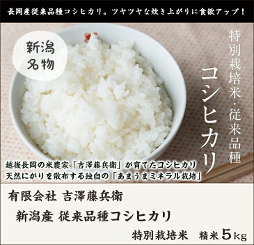 【令和元年度米】新潟産 特別栽培米 従来品種コシヒカリ 精米5kg 有限会社吉澤藤兵衛【白米/うるち米/新潟県産/こしひかり/クラシックコシヒカリ/従来米】【贈り物・内祝いに！のし（熨斗）無料】【送料無料】