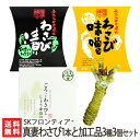 糸魚川産真妻わさび1本と加工品3種3個セット SKフロンティア【新潟/新潟県産/ワサビ/山葵/生わさび/わさび粕漬け/わさび味噌/しょうゆ漬け】【お土産/手土産...