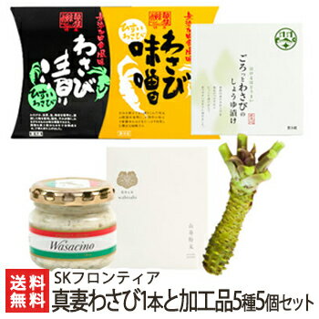 糸魚川産真妻わさび1本と加工品5種5個セット SKフロンティア【新潟/新潟県産/ワサビ/山葵/生わさび/わさび粕漬け/わさび味噌/しょうゆ漬け/ワサチーノ/wa...