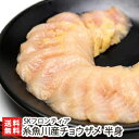 糸魚川産 チョウザメ 半身 SKフロンティア【新潟/糸魚川/新潟県産/白身魚/...