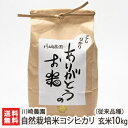 【令和元年度新米】新潟産 自然栽培米 従来品種コシヒカリ 玄...