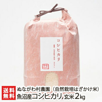 魚沼産 自然栽培（無農薬・無化学肥料）従来品種コシヒカリ（棚田栽培・はざかけ米）玄米2kg ぬながわ村農園【新潟県産/新潟産/こしひかり/従来米/棚田米】【お土産/手土産/プレゼント/ギフトに！贈り物】【送料無料】 お歳暮のサムネイル