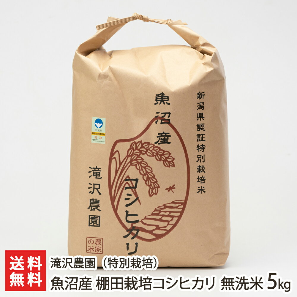 【令和元年度米】魚沼産 棚田栽培コシヒカリ（特別栽培米）無洗米 5kg 滝沢農園【白米/うるち米/こしひかり/新潟県産/魚沼産】【お中元に！贈り物・内祝いに！のし（熨斗）無料】【送料無料】