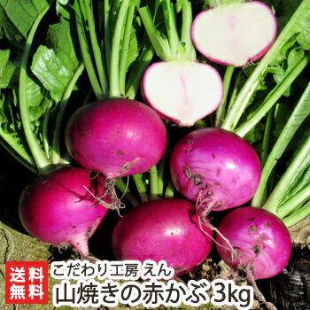 新潟・村上産 山焼きの赤かぶ 3kg（18個～24個入り） こだわり工房 えん【新潟産/新潟県産/赤 ...