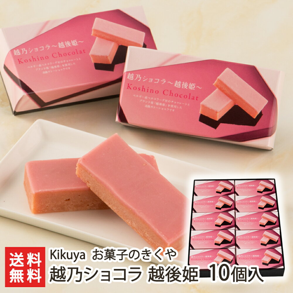 高級チョコレート（5000円程度） 越乃ショコラ 越後姫 10個入り Kikuya お菓子のきくや【チョコ/ベルギー産チョコレート使用/ガトーショコラ/吉乃川/吟醸酒/老舗/引き菓子/甘さ控えめ/口溶け】【お土産/手土産/ギフトに！贈り物】【送料無料】