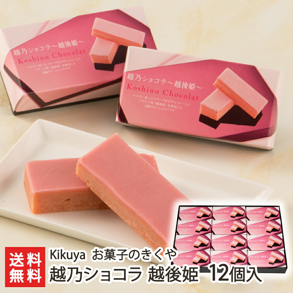 チョコレート（5000円程度） 越乃ショコラ 越後姫 12個入り Kikuya お菓子のきくや【チョコ/ベルギー産チョコレート使用/ガトーショコラ/吉乃川/吟醸酒/老舗/引き菓子/甘さ控えめ/口溶け】【お土産/手土産/ギフトに！贈り物】【送料無料】