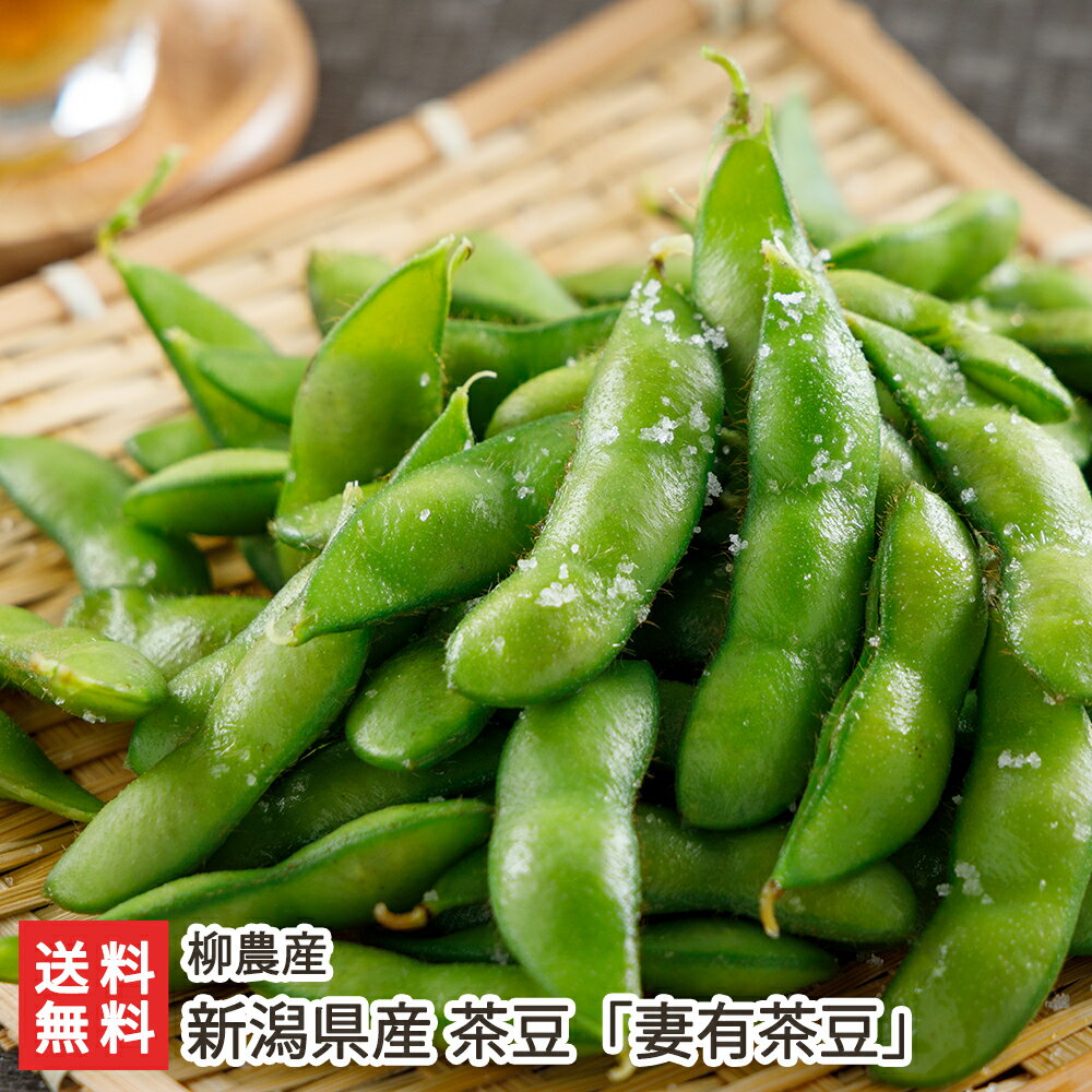 新潟県産 茶豆 妻有茶豆「900g」or「1.8kg」 柳農産 【代金引換決済不可】【ちゃまめ/枝豆/えだ豆/えだまめ/エダマメ/お取り寄せグルメ/おつまみ/おやつ/つまり】【お土産/手土産】【送料無料】 父の日 お中元