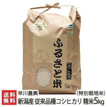 【令和3年度米】新潟産コシヒカリ (特別栽培米/従来品種) 精米5kg 早川農興【白米/うるち米/新潟県産/こしひかり/クラシックコシヒカリ/従来米/非BL種/減農薬/減化学肥料】【送料無料】