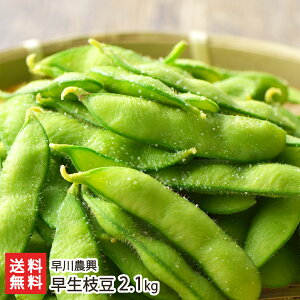 【初だるま】枝豆の人気ブランド！甘くて美味しい枝豆のおすすめは？