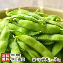中生茶豆(品種:越後ハニー・新潟茶豆など) 選べる 900g ~ 3kg 早川農興 えだまめ エダマメ えだ豆 おつまみ おやつ 新潟県 生産者直送 お取り寄せ ギフト プレゼント 贈り物 送料無料