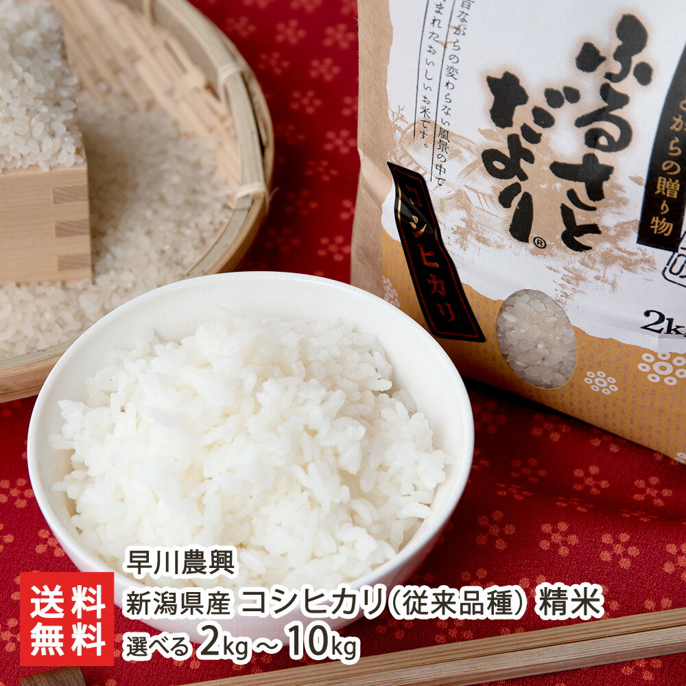 楽天市場】新潟県産コシヒカリ 10キロの通販 楽天市場】新潟県産コシヒカリ 10キロの通販
