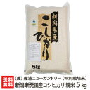 新潟 コシヒカリ 精米5kg （農）豊浦ニューカントリー【白米/うるち米/新潟県産/新潟産/こしひかり】【お土産/手土産/プレゼント/ギフトに！贈り物】【送料無料】