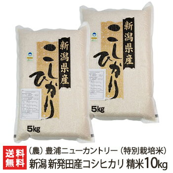 【令和5年度米】新潟 コシヒカリ 精米10kg（5kg×2袋