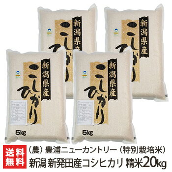 【令和6年度新米】新潟 コシヒカリ 精米20kg（5kg×4袋） （農）豊浦ニューカントリー【白米/うるち米/新潟県産/新潟産/こしひかり】【お土産/手土産/プレゼント/ギフトに！贈り物】【送料無料】 お歳暮