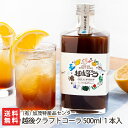 越後クラフトコーラ 500ml 1本入り （有）加茂特産品セ