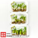 新潟県産 タラの芽 3パック入り（1パックあたり50g） IkeIkeファーム 【新潟産/山菜/ハウス栽培/水耕栽培/天ぷら/おひたし】【お土産/手土産】【送料無料】