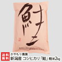 【令和2年度新米】新潟産 コシヒカリ「鮭」精米2kg かやもり農園【白米/うるち米/新潟県産/新潟米/こしひかり/脱酸素剤入り2重袋/化学肥料不使用】【ギフトに！贈り物・内祝いに！のし（熨斗）無料】【送料無料】