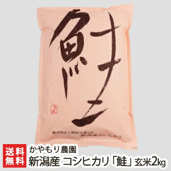 【令和5年度米】無化学肥料 新潟産 コシヒカリ「鮭」玄米2kg かやもり農園【脱酸素剤入り2重袋/こしひかり】【お土産/手土産/プレゼント/ギフトに！贈り物】【送料無料】お歳暮ギフトにも！