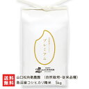 令和6年度産米 魚沼産 自然栽培米(無農薬・無化学肥料)従来品種 コシヒカリ 精米 5kg 山口松兵衛農園 こしひかり 新潟産 新潟県産 魚沼コシヒカリ 新潟県...