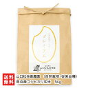 令和6年度産米 魚沼産 自然栽培米(無農薬・無化学肥料)従来品種 コシヒカリ 玄米 5kg 山口松兵衛農園 こしひかり 新潟産 新潟県産 魚沼コシヒカリ 新潟県...