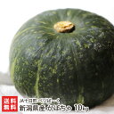 新潟県産 かぼちゃ 10kg（5～7玉入り） JA十日町 ベジぱーく【カボチャ/南瓜/くりゆたか/大玉/ホクホク/煮物/天ぷら】【お土産/手土産/ギフトに！贈り物】【送料無料】