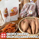 商品説明 内容 さつまいも2kg・おさつスティック3袋 さつまいものおまかせ種類一覧（※品種のご指定はお受けできません。） 紅あずま紅うらら紅きらら紅はるかシルクスイート紫まさりひめあやか 配送方法 ヤマト運輸（通常便） 賞味期限 さつまいも：到着後、お早めにお召し上がり下さいおさつスティック：製造から4ヶ月 保存方法 直射日光を避けて保存して下さい 返品交換 生鮮品・食品などの商品の性質上、返品・交換はお受けできません。 ただし、配送中の事故により、お届けした商品に傷みや破損がある場合や、到着した商品がお申込み頂いた商品と異なっていた場合には、返品・交換を承ります。 ご連絡は商品到着日・並びに翌日以内にお願い致します。 生産者 さつまいも農カフェきらら 関連商品リスト さつまいも農カフェきららの商品一覧 通販/産地直送/新潟名物/産直/新潟県産/新潟産/母の日/父の日/敬老の日/こどもの日/子供の日/お中元/御中元/お歳暮/御歳暮/お年賀/御年賀/ご挨拶/香典返し/バレンタインデー/ホワイトデー/ハロウィン/贈り物/贈答用/プレゼント/ギフト/プチギフト/のし/熨斗/のし無料/熨斗無料/送料無料/おみやげ/お土産/包装/ラッピング/特産品/名物/端午の節句/暑中見舞い/暑中御見舞/残暑見舞い/残暑御見舞/寒中見舞い/寒中御見舞/内祝い/御祝い/逸品/誕生日祝い/誕生日御祝/還暦祝い/米寿/お取り寄せグルメ/入学祝い/入学御祝/合格祝い/合格御祝/引っ越し祝い/引っ越し御祝/快気祝い/快気内祝/ご当地グルメ/B級グルメ/老舗の味/ご自宅用/クリスマス/イベント/引出物/上司/同僚/七五三/ひな祭り/成人の日/成人式/お返し/寿/御見舞/越後/出産祝い/出産内祝/贈答品お間違いのないようお気をつけて下さい。 魚沼のさつまいも 詰め合わせ 魚沼のさつまいもで作ったおさつスティック 魚沼のさつまいも詰め合わせ・おさつスティック 焼きいもソフトクリーム 「イモぽんソフト」 焼き芋ピザ さつまいも農カフェきららの商品一覧