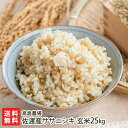 【令和7年度新米】無農薬・無化学肥料 佐渡産ササニシキ 玄米25kg 高島農場【ささにしき/新潟産/新潟県産】【送料無料】