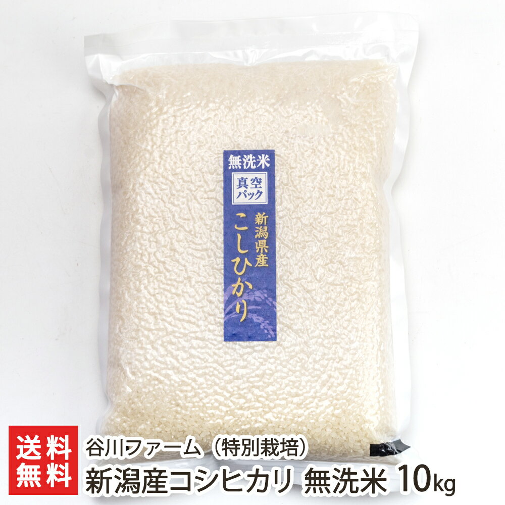 お米ギフト（売れ筋ランキング） 【令和5年度米】特別栽培米（減農薬・減化学肥料）新潟産コシヒカリ 無洗米 10kg（2kg×5袋） 谷川ファーム【こしひかり/白米/うるち米/お取り寄せ】【お土産/手土産/ギフトに！贈り物】【送料無料】 父の日 お中元