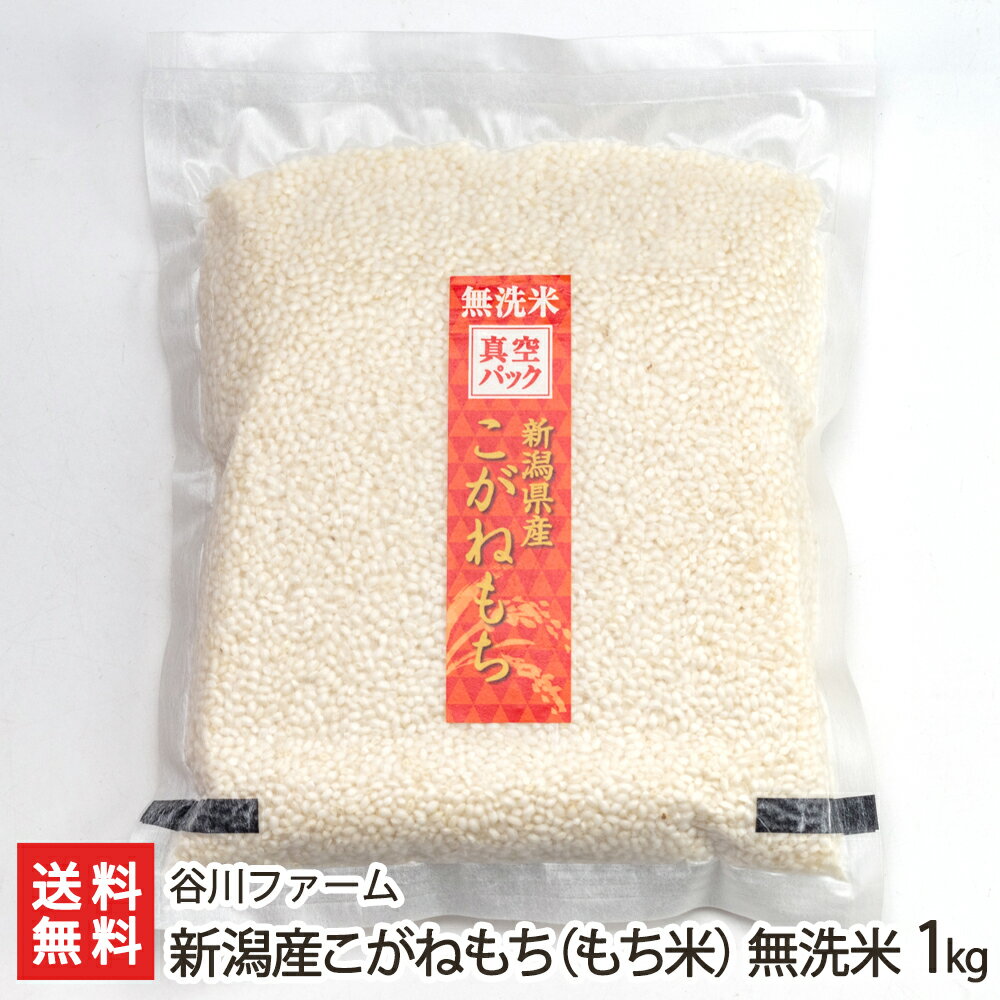 【令和3年度新米】無洗米 もち米 こがねもち 1kg 谷川ファーム 新潟県産 産地直送 送料無料【新潟直送計画 うるち米 お取り寄せ】