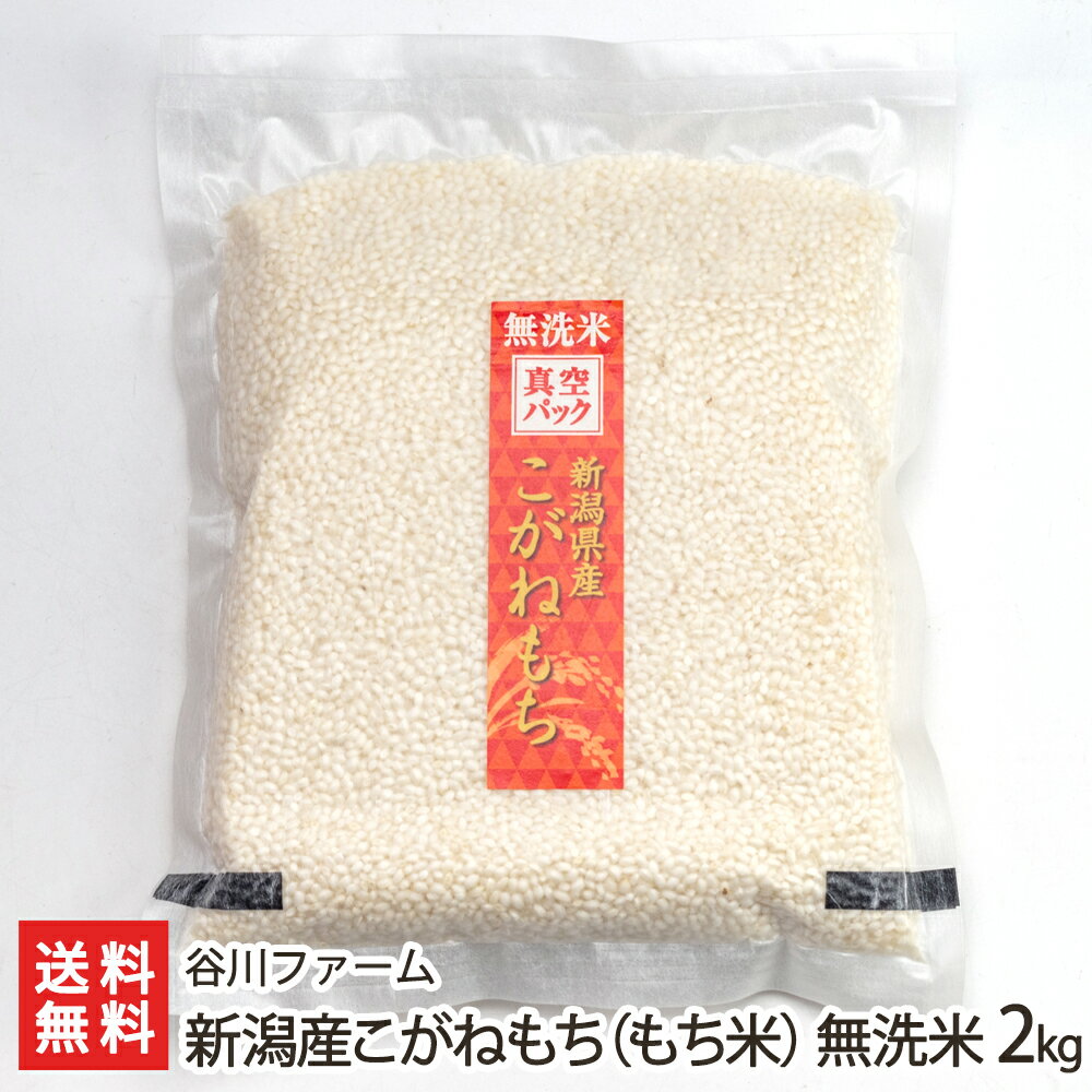 【令和5年度米】新潟産こがねもち（もち米）無洗米2kg 谷川ファーム 新潟県産 産地直送 送料無料【コガネモチ 餅米 …